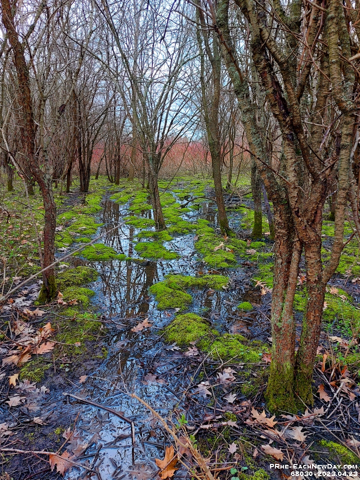 68030PeCrLeUsm - A Sunday afternoon walk with Beth along Duffins Creek